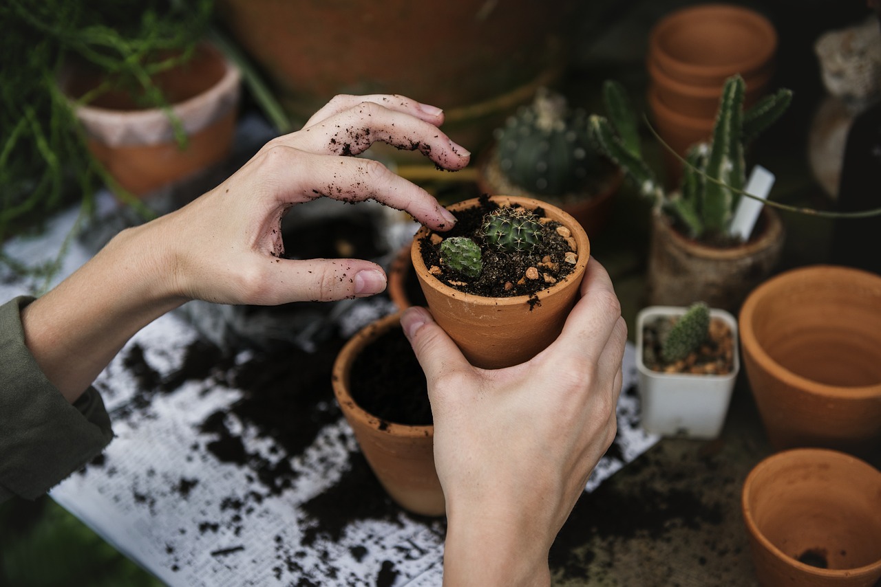 Klimaatbestendige planten voor een tijdcapsule tuin.