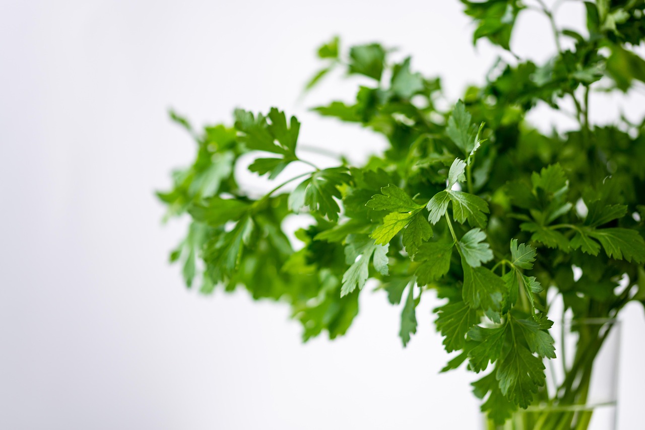 Hangende plantenzakken met verschillende keukenkruiden.